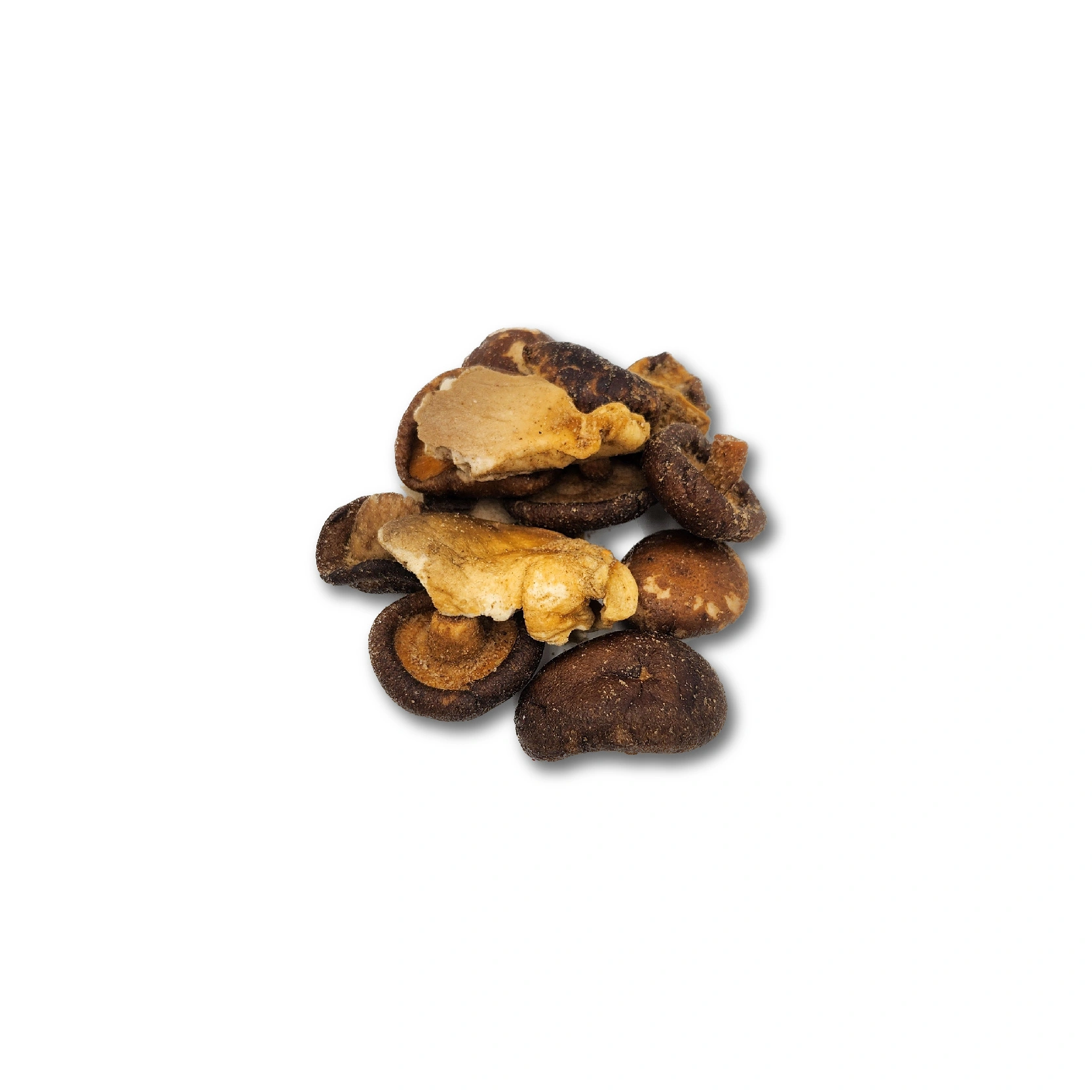 champignon